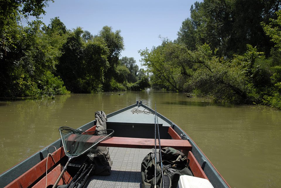 Tisza-tó
