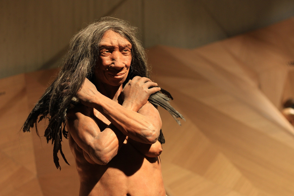 neandervölgyi ősember