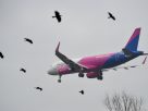A Wizz Air pilótái gyakorló repüléseket végeztek a debreceni repülőtérnél
