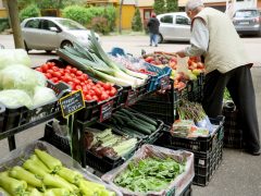 Szeged, Turi Krisztina, zöldség- és gyümölcs kereskedés, vállalkozó, gazdaság, Molnár utca